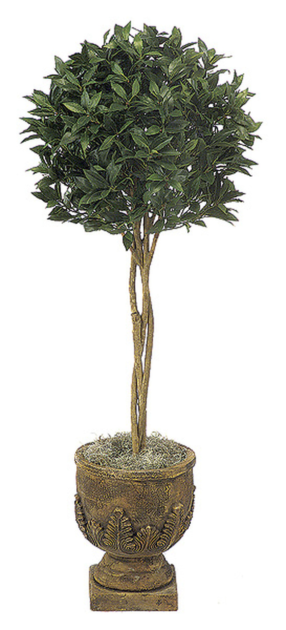 5 Bay Leaf Ball Topiary on Natural Trunk